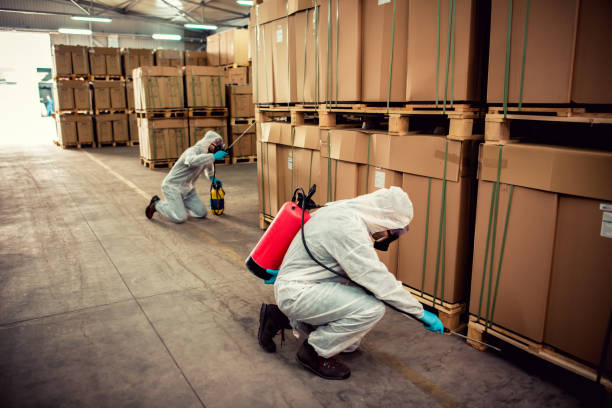 Best Best Pest Control Companies  in Kean University, NJ