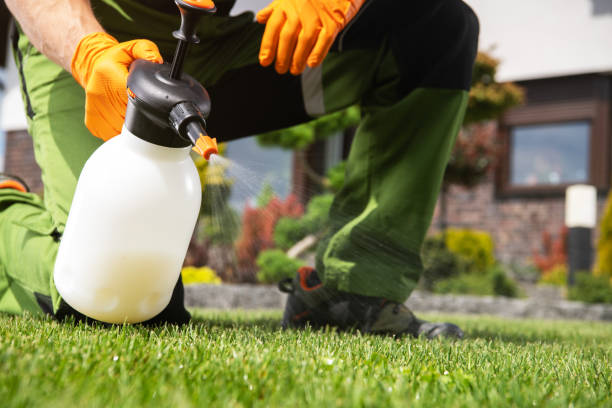 Best Termite Control Services  in Kean University, NJ