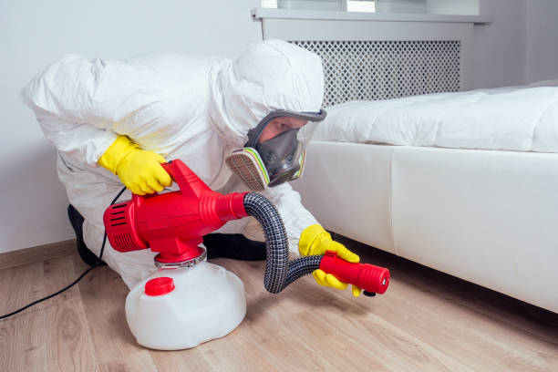 Best Insect Control  in Kean University, NJ