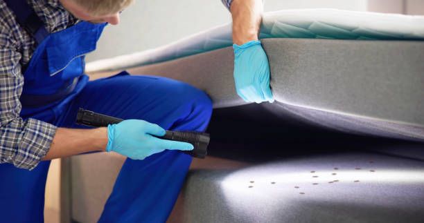 Best Local Pest Control Services  in Kean University, NJ