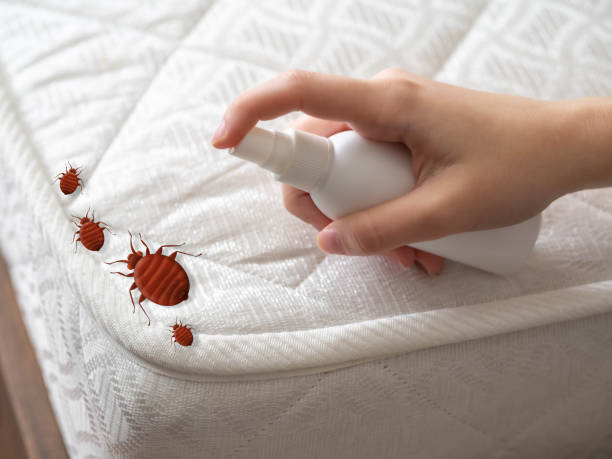 Best Residential Pest Control  in Kean University, NJ