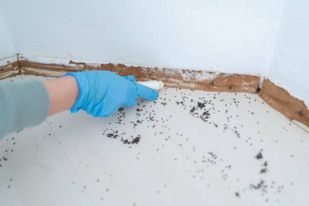  Kean University, NJ Pest Control Pros