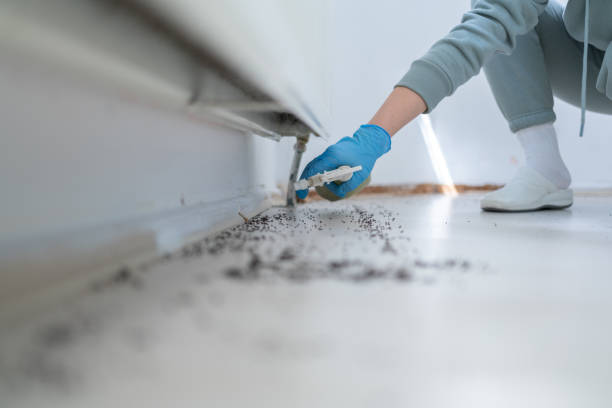 Best Commercial Pest Control Services  in Kean University, NJ