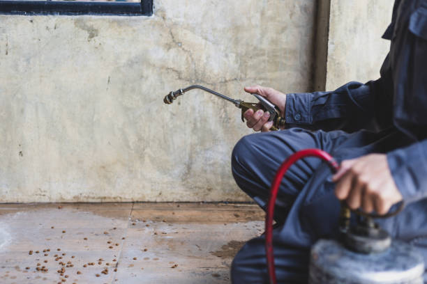 Best Wasp Removal Services  in Kean University, NJ